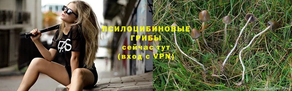 mdpv Покров