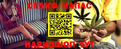 дурь Берёзовский