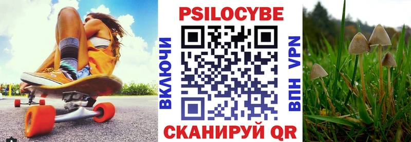 Псилоцибиновые грибы Psilocybine cubensis  Волжск 