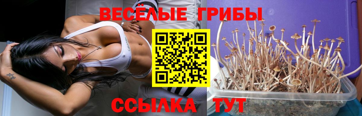 Волжск  Псилоцибиновые грибы Magic Shrooms  хочу   Псилоцибиновые грибы GOLDEN TEACHER  Вход с VPN 