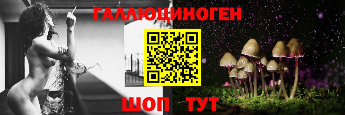 Псилоцибиновые грибы GOLDEN TEACHER  Волжск 